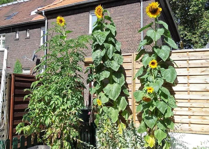 Appartamento Grosses Monteurhaus Zur Alleinigen Nutzung In Duisburg - Maximal 6 Personen - 4 Schlafzimmer Duisburgo